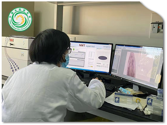 中國(guó)水稻研究所